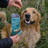 Beco Dog Treats Insect with Apple Chia Seeds & Parsley 70g - McGrocer