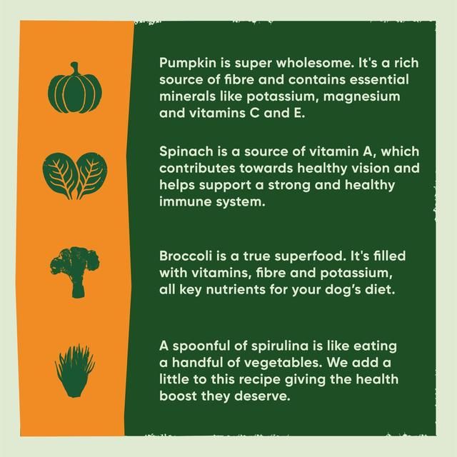 Beco Free Range Turkey with Pumpkin & Spinach Dry Food for Puppies 2kg - McGrocer