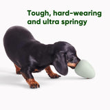 Beco Natural Rubber Boredom Buster - Green - McGrocer