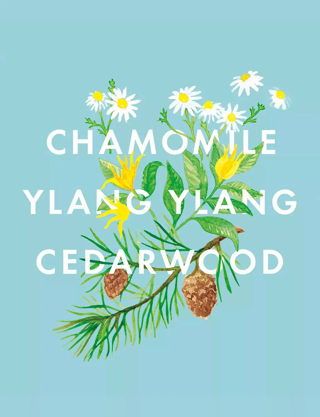 Bedtime Hero Pillow Mist 30 ml - McGrocer