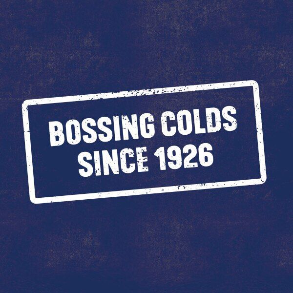 Beechams Cold & Flu Powders, Pain & Fever Relief, 20s - McGrocer