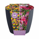 Bees Gifts Two Season Grow Set - McGrocer