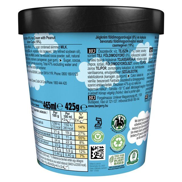 Ben & Jerry's Peanut Butter Cup Ice Cream Tub 465ml - McGrocer