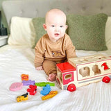 Bigjigs Toys Safari Sorting Lorry Toy - McGrocer