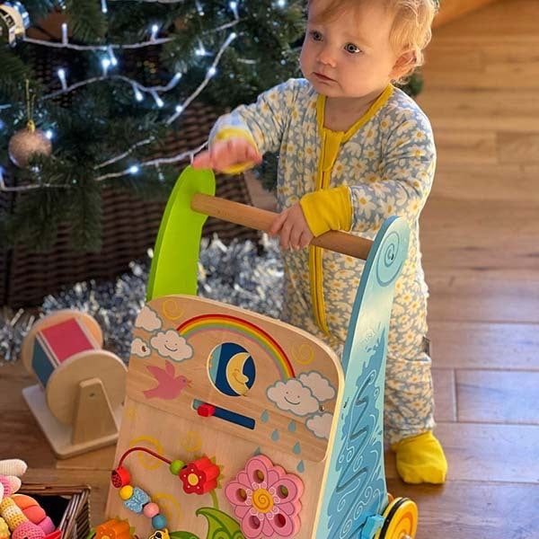 Bigjigs Toys Wooden Flower Activity Walker - McGrocer