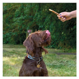 Bingham Farms Duck Wrapped Rawhide Twist Med 6 per pack - McGrocer