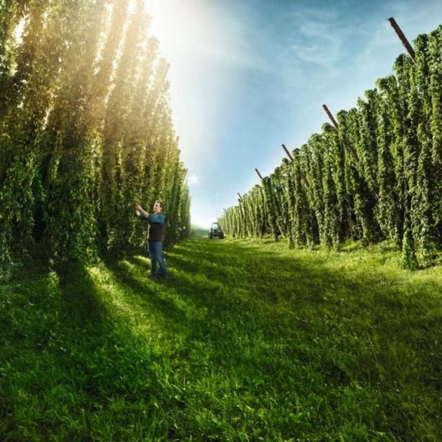 Bitburger Premium Pils   4 x 500ml - McGrocer