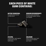 BLOCKHEAD Shine Gum - 12 Packs (84 Pieces) - McGrocer