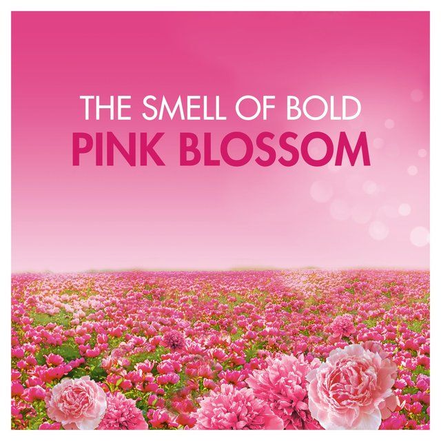 Bold 2in1 Washing Liquid Pink Blossom 60 Washes 2L - McGrocer