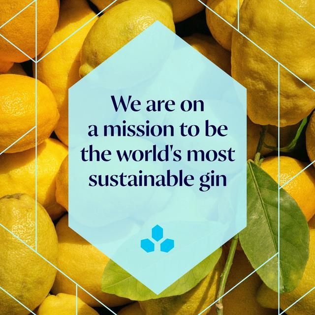 Bombay Sapphire Premier Cru Murcian Lemon Distilled London Dry Gin 70cl - McGrocer