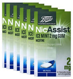Boots NicAssist Ice Mint 2mg Gum - 6 x 105 Pieces Bundle - McGrocer