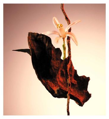 BOSS The Scent Le Parfum for Her 30ml - McGrocer