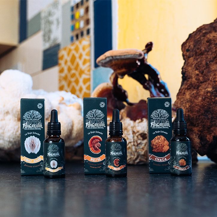 Bristol Fungarium Lion's Mane 1:8 Triple Extract 30ml