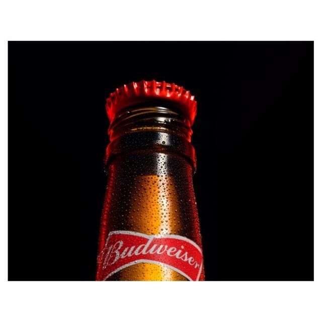 Budweiser Beer 15 x 300ml