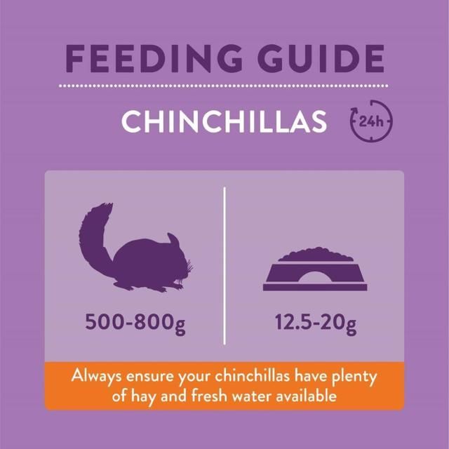 Burgess Excel Chinchilla Nuggets 1.5kg