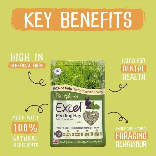 Burgess Excel Feeding Hay Dried Fresh Grass 1kg