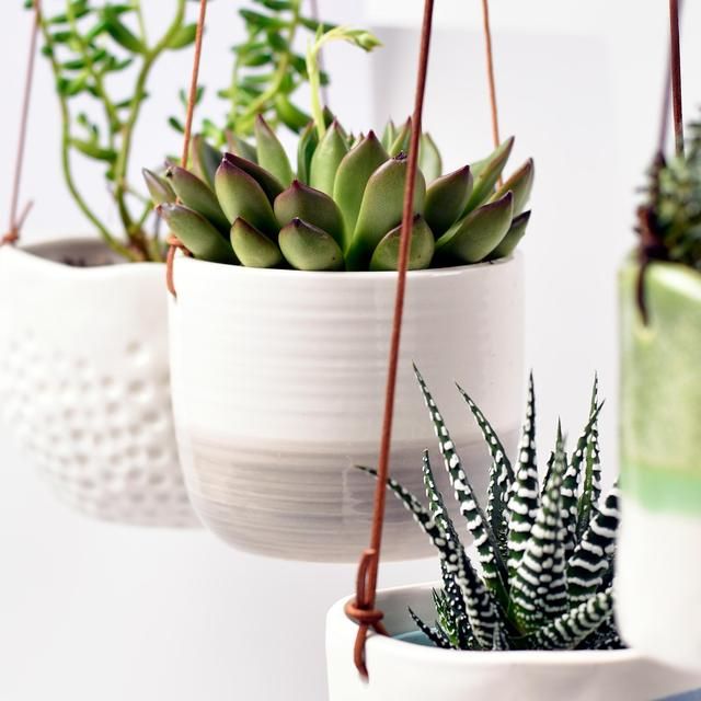 Burgon & Ball Hanging Plant Pot Ripple 11cm