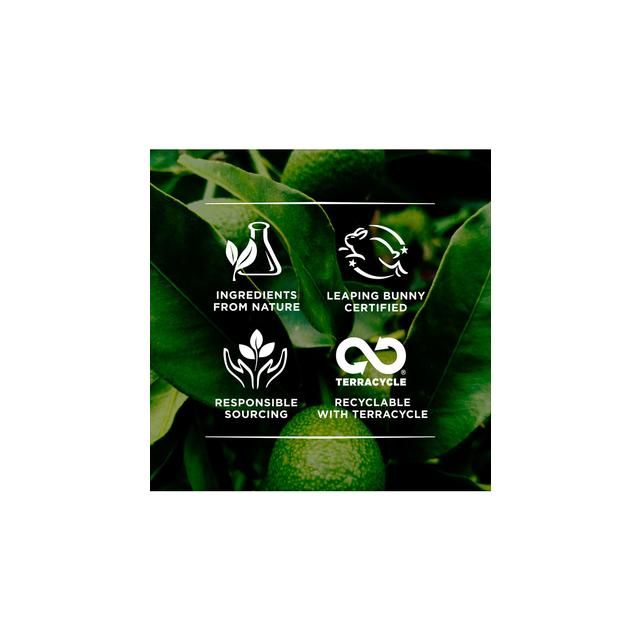 Burt's Bees Sensitive Facial Cleanser 170g