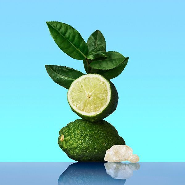 Calvin Klein CK One Unisex Eau de Toilette 200ml