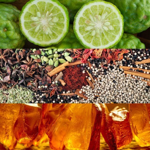 Calvin Klein Obsession Eau de Parfum for Her 100ml