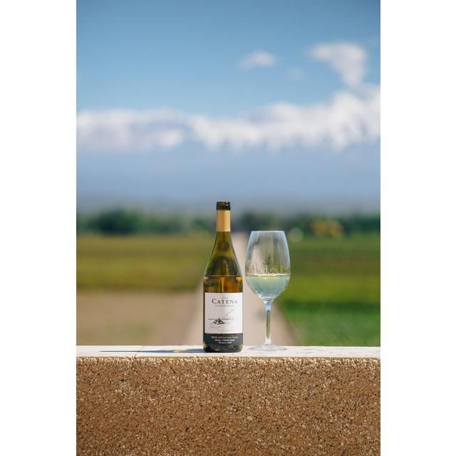 Catena Chardonnay 75cl