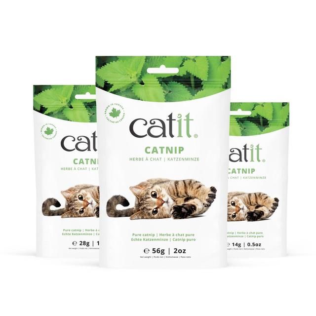 Catit Catnip 28g