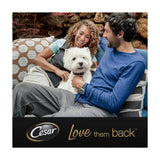 Cesar Country Stew Adult Wet Dog Food Trays Special Selection 8 x 150g