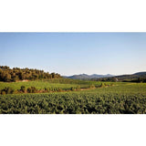 Chateau La Gordonne Organic Provence Rose 75cl