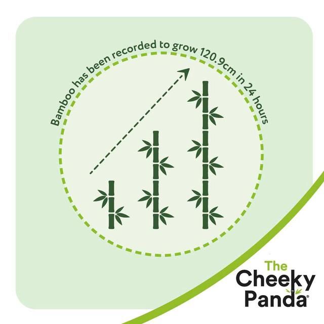 Cheeky Panda Natural Bamboo Toilet Tissue 4 per pack