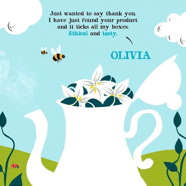 Clipper Fairtrade House Blend Organic Coffee 100g