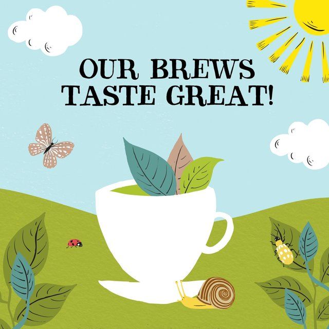 Clipper Organic & Fairtrade Decaffeinated Green Tea 40 per pack