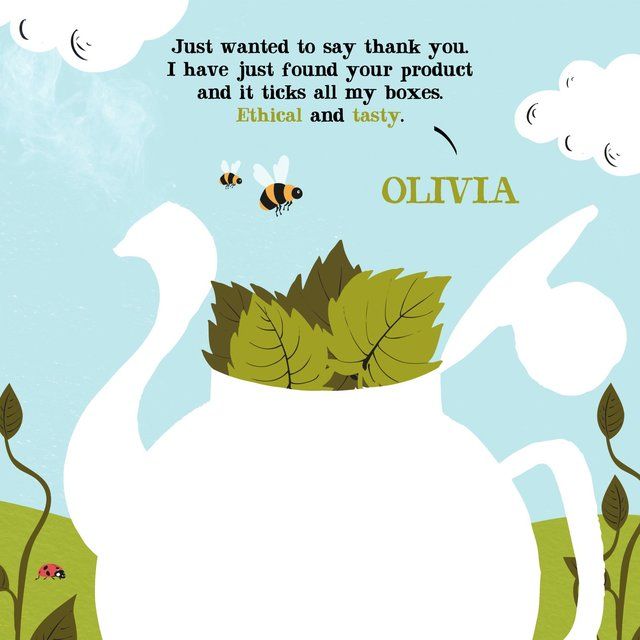 Clipper Organic Nettle Teabags   20 per pack