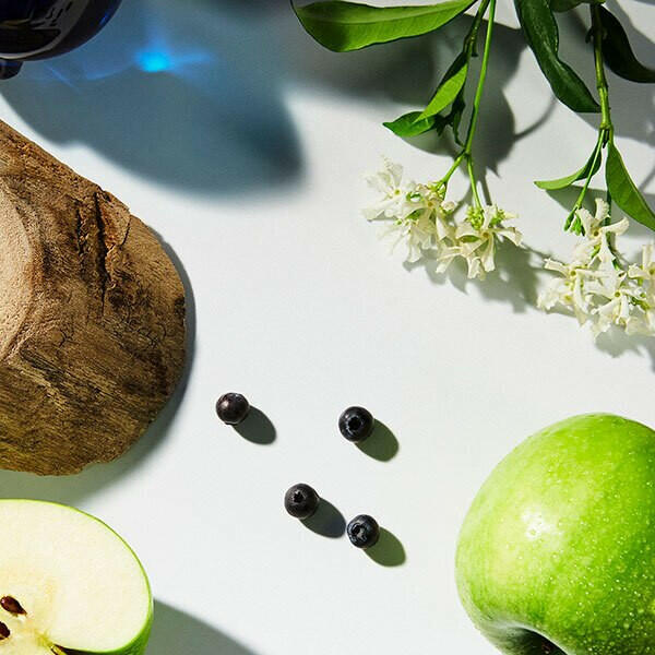 Versace Dylan Blue Pour Femme Eau de Parfum 50ml GOODS Superdrug