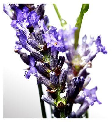 Davidoff Cool Water Man Eau de Toilette 125ml