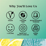 Twinings Superblends Detox with Lemon Ginger & Fennel 20 per pack - McGrocer