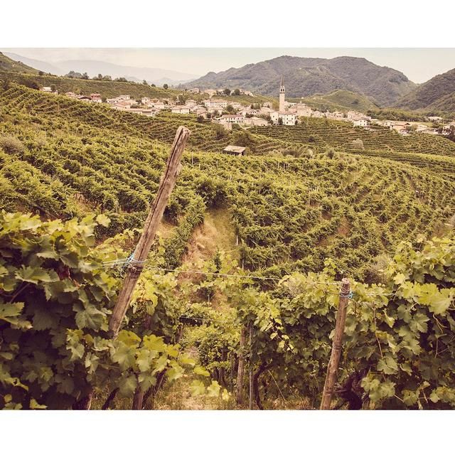 Della Vite Superiore D.O.C.G Prosecco 75cl