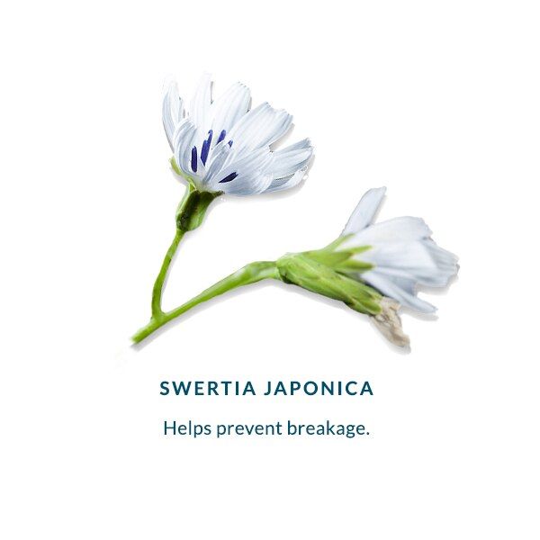 DHC Eyelash Tonic 6.5ml