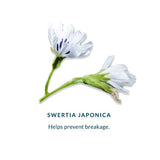 DHC Eyelash Tonic 6.5ml