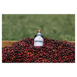 Discarded Cascara Vermouth 50cl