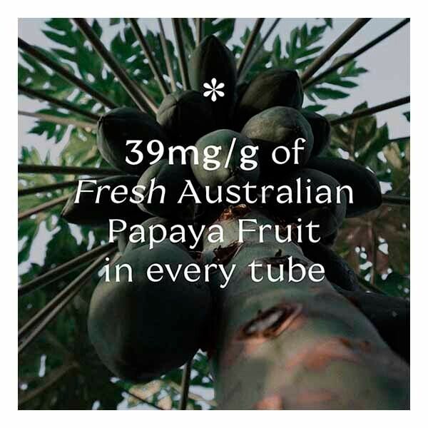 DNR Pure Paw Pawt Multiuse Ointment Coconut 25g