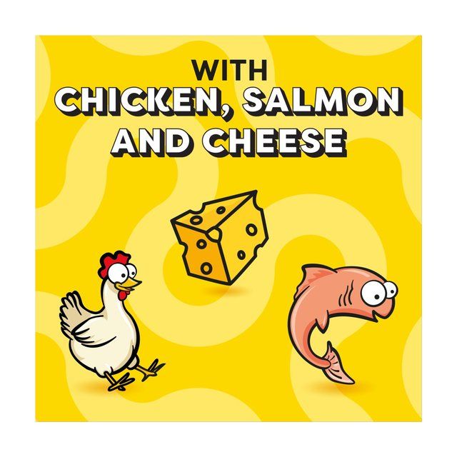 Dreamies Variety Snack Box Cat Treats with Chicken Cheese & Salmon 12 x 60g