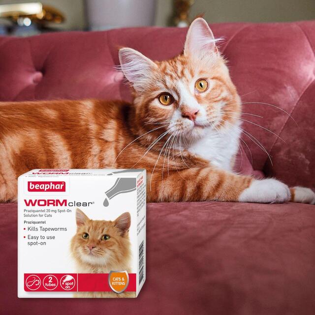 Beaphar WORMclear Worming Spot-On for Cats 6 per pack - McGrocer
