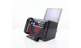 Easy Karaoke EKS213-BT Bluetooth Karaoke Machine