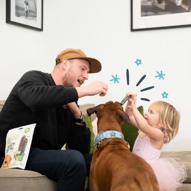 Edgard & Cooper Apple & Eucalyptus Large Dog Dental Sticks   7 per pack