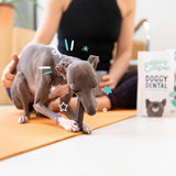 Edgard & Cooper Apple & Eucalyptus Small Dog Dental Sticks   7 per pack