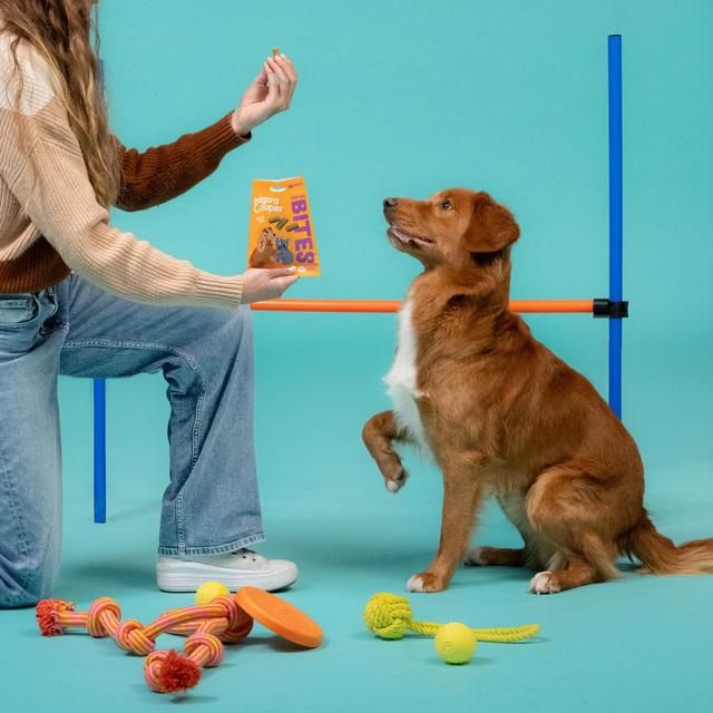 Edgard & Cooper Fresh Dog Large Bites Adult Grain Free Salmon & Chicken 50g