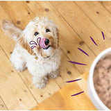 Edgard & Cooper Natural Adult Grain Free Wet Dog Food Multipack 6 x 100g