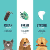 Edgard & Cooper Strawberry & Mint Medium Dog Dental Sticks   7 per pack