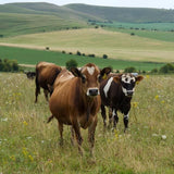 Ember Snacks Biltong Chilli 250g