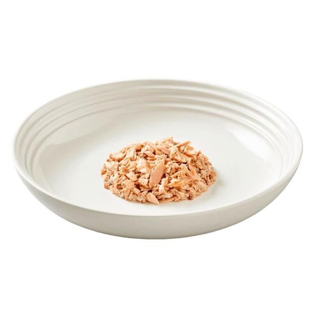 Encore Cat Tin Ocean Fish 70g